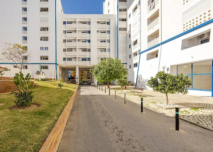 Anna's Da Rocha * 波尔蒂芒